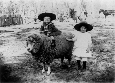 Children with sheep.
