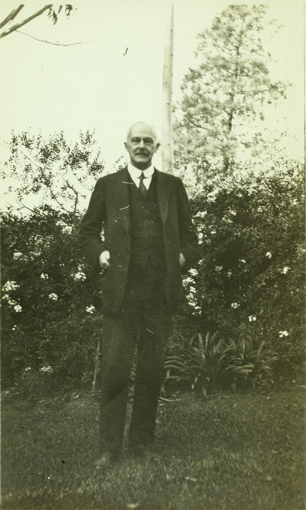 Professor David Orme Masson, University of Melbourne, 1914-1918.