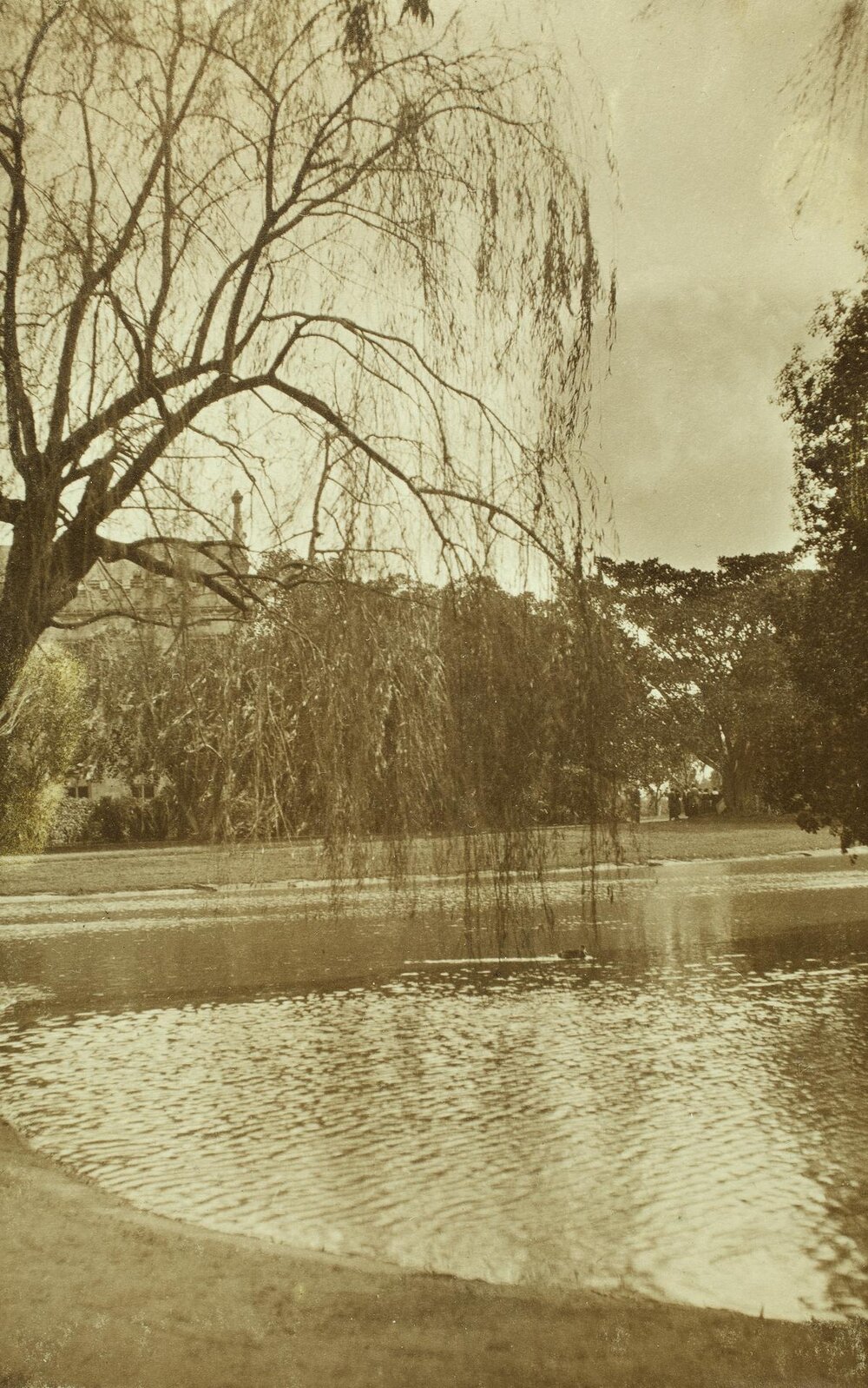 Winter by the lake, University of Melbourne, circa 1915.