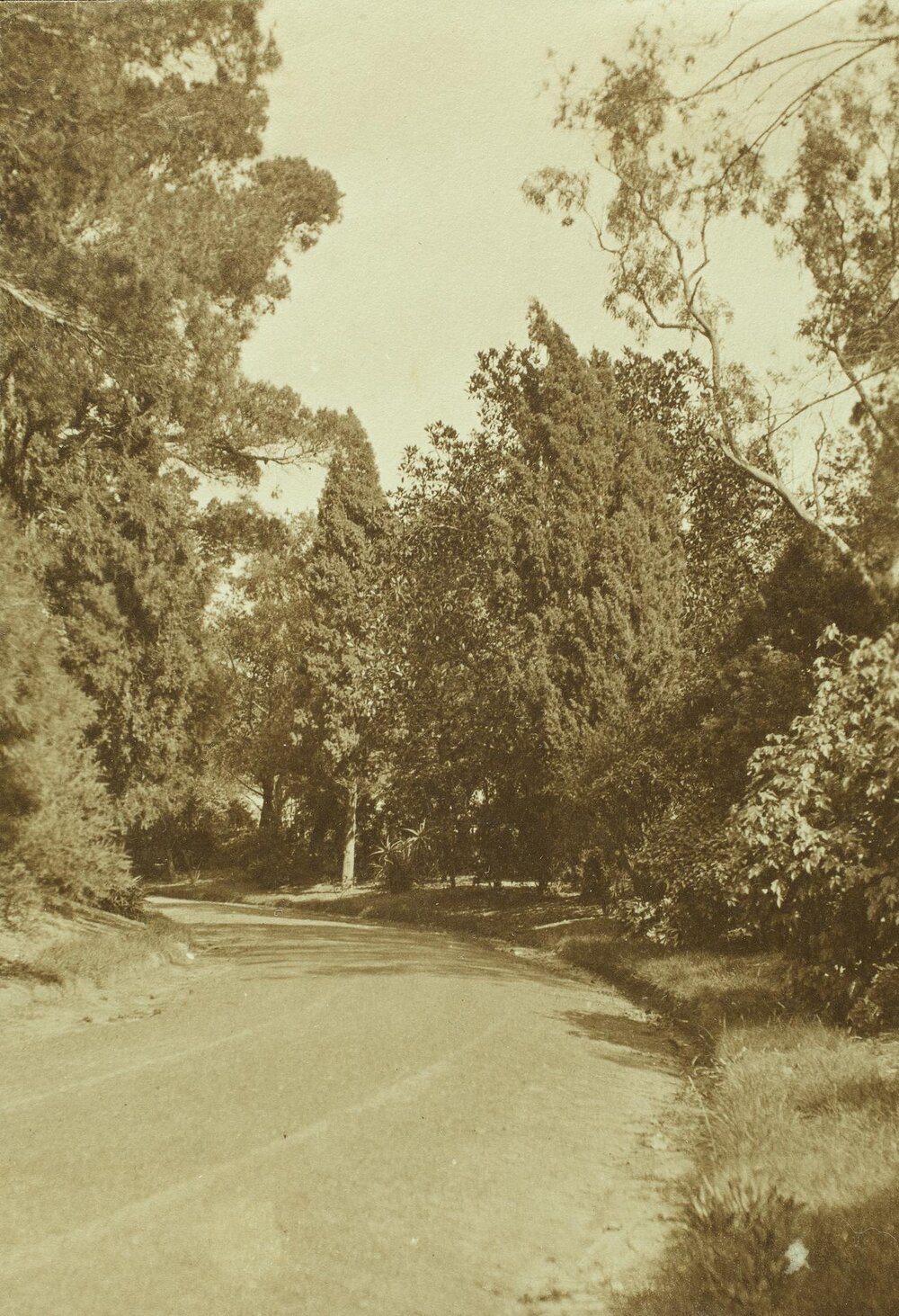 By the Conservatorium plot, University of Melbourne