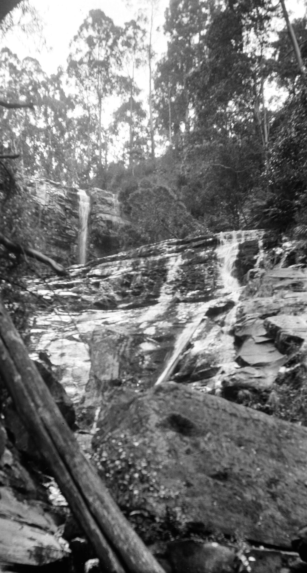 Waterfall in a forest setting