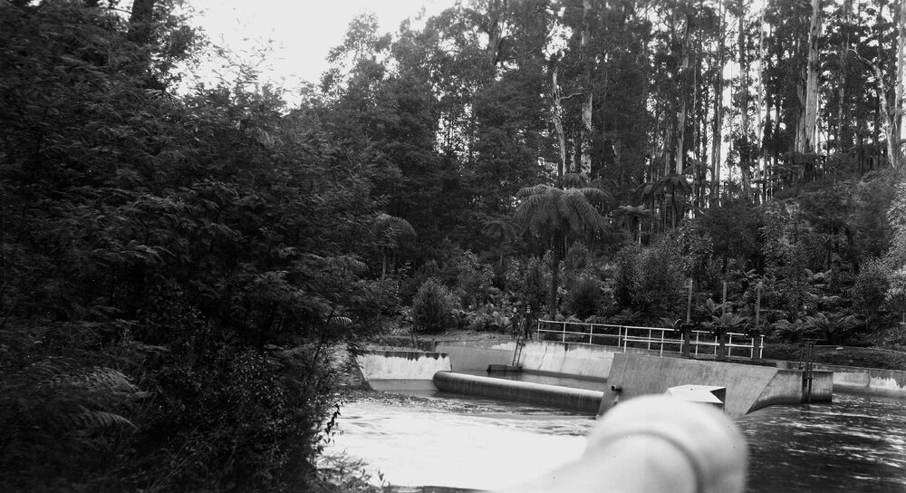 Reservoir and lock system in forest setting, Victoria
