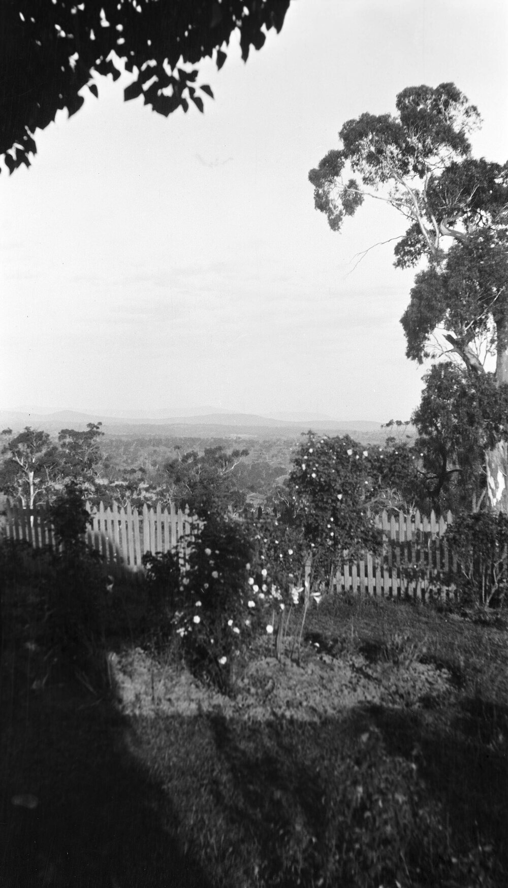 Linton Grange - from the Veranda