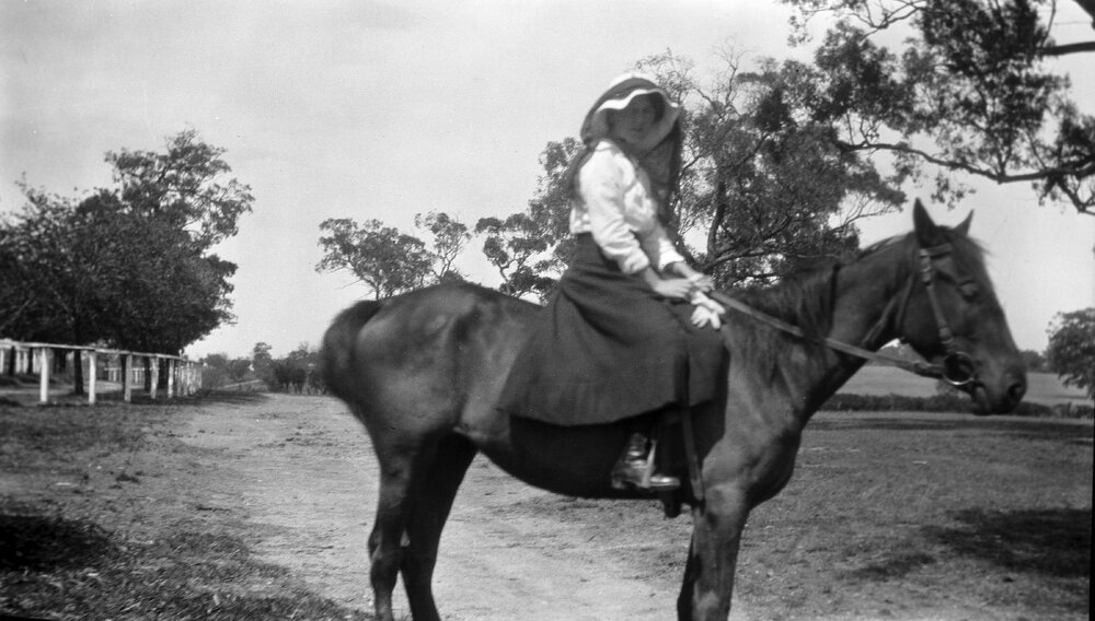 Linton Grange - Mavis
