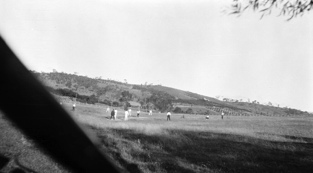Linton Grange - cricket match