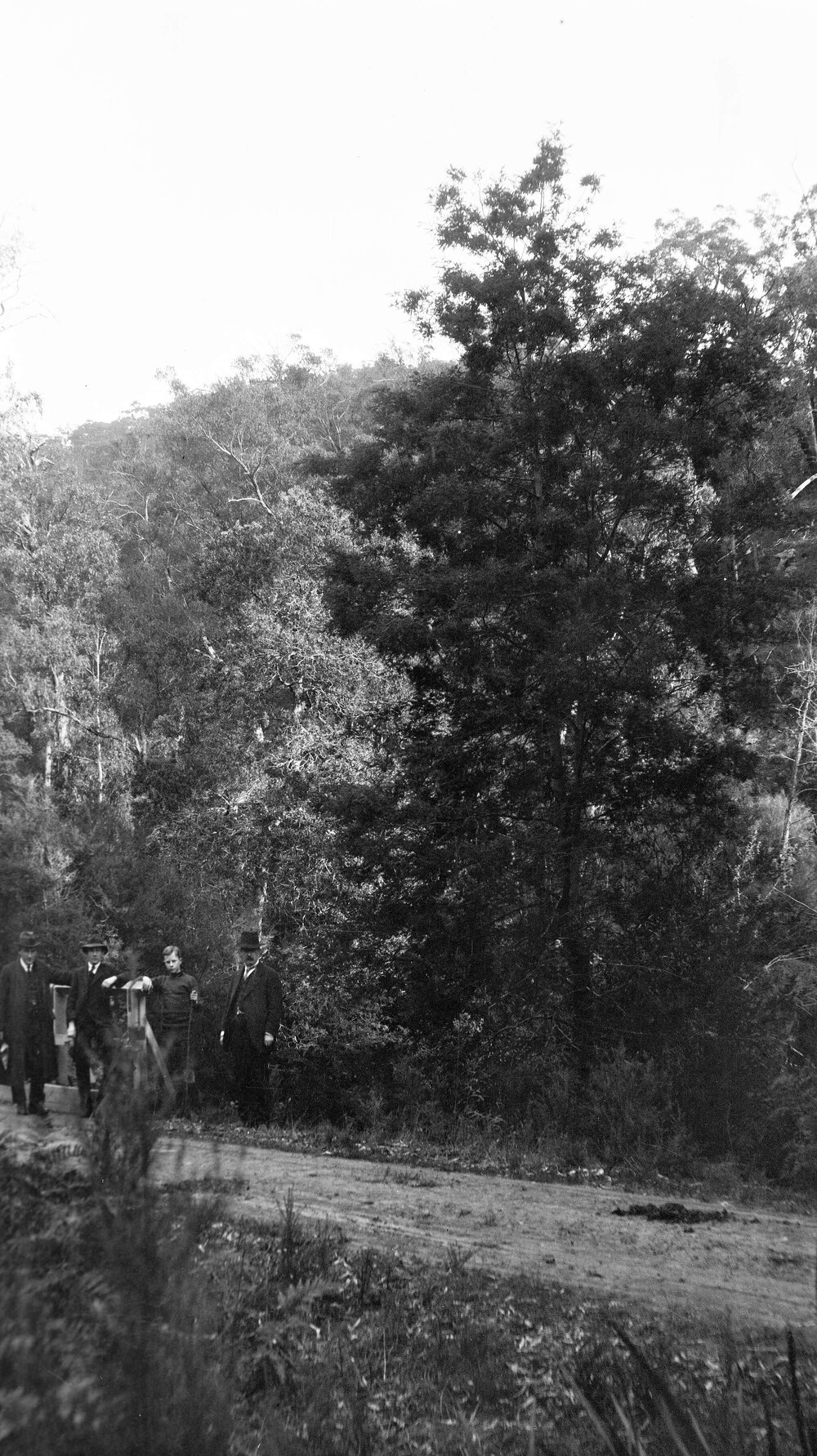 Four men on a road in forest