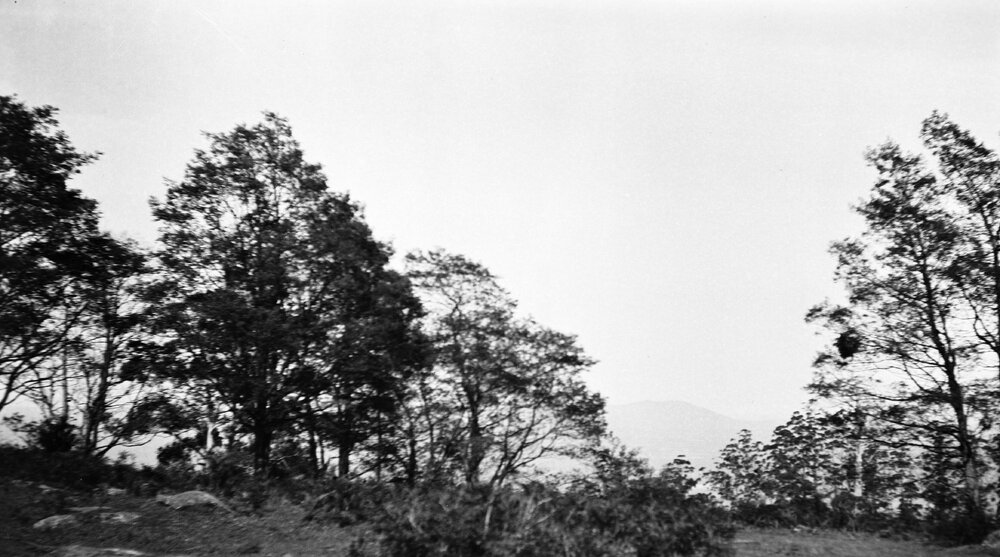 An unknown country scene.