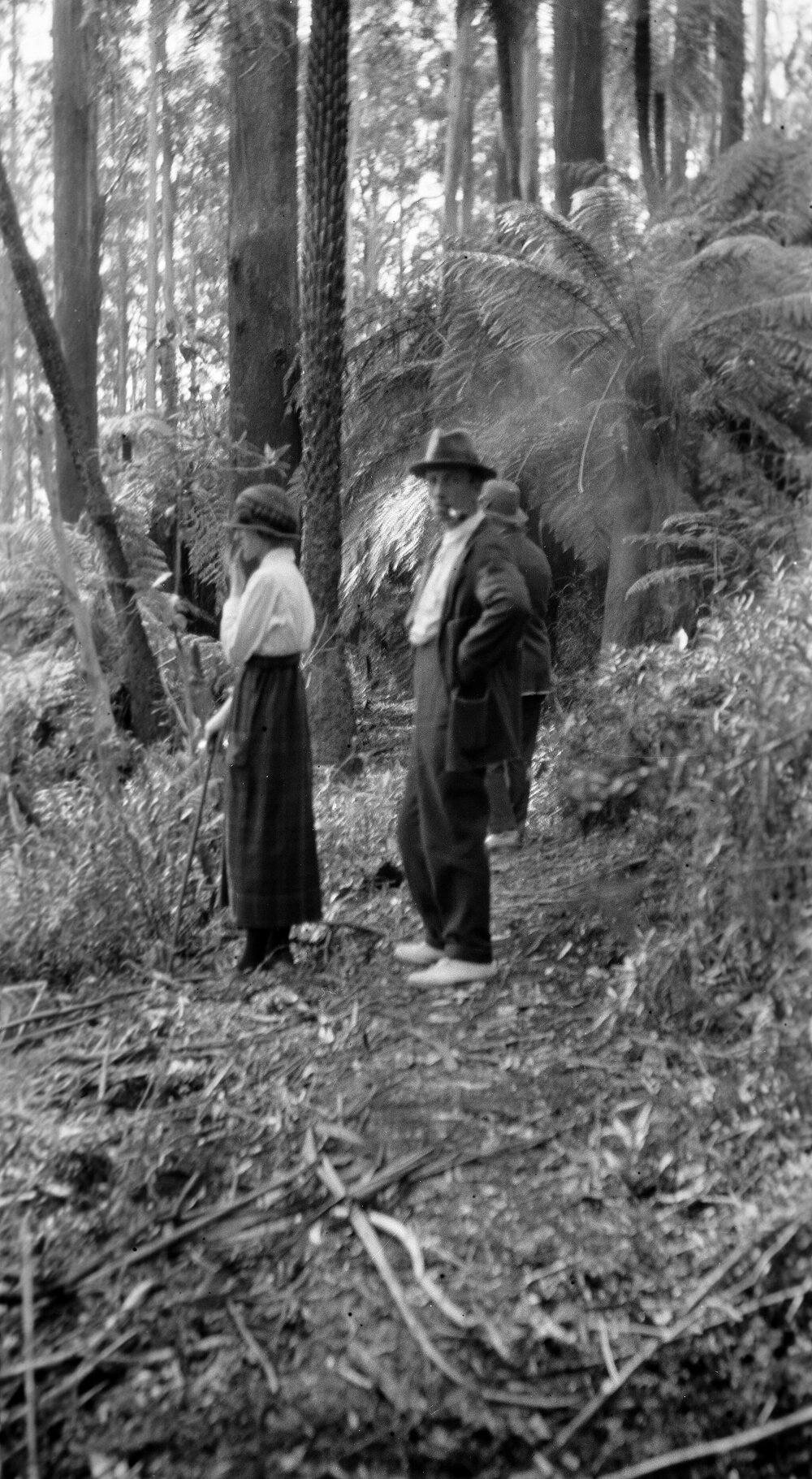Three people in temperate rainforest