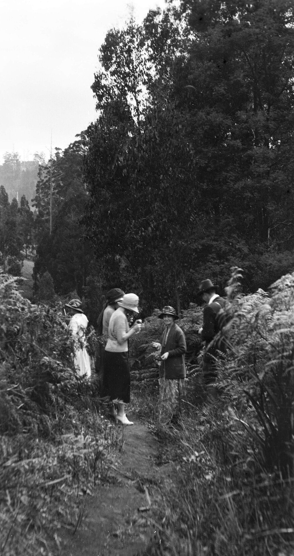 Four women and a man examining plants in bushland