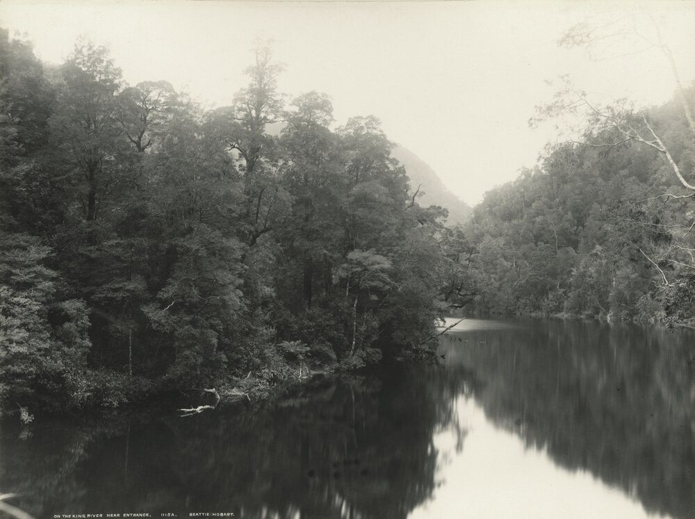 A view of the King River, Tasmania, close to its mouth.