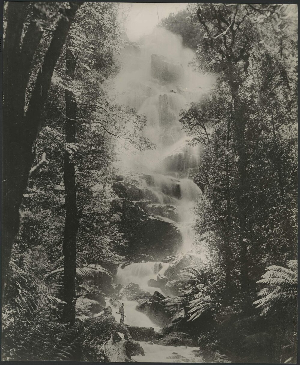 Saint Columba Falls (North East Tasmania)