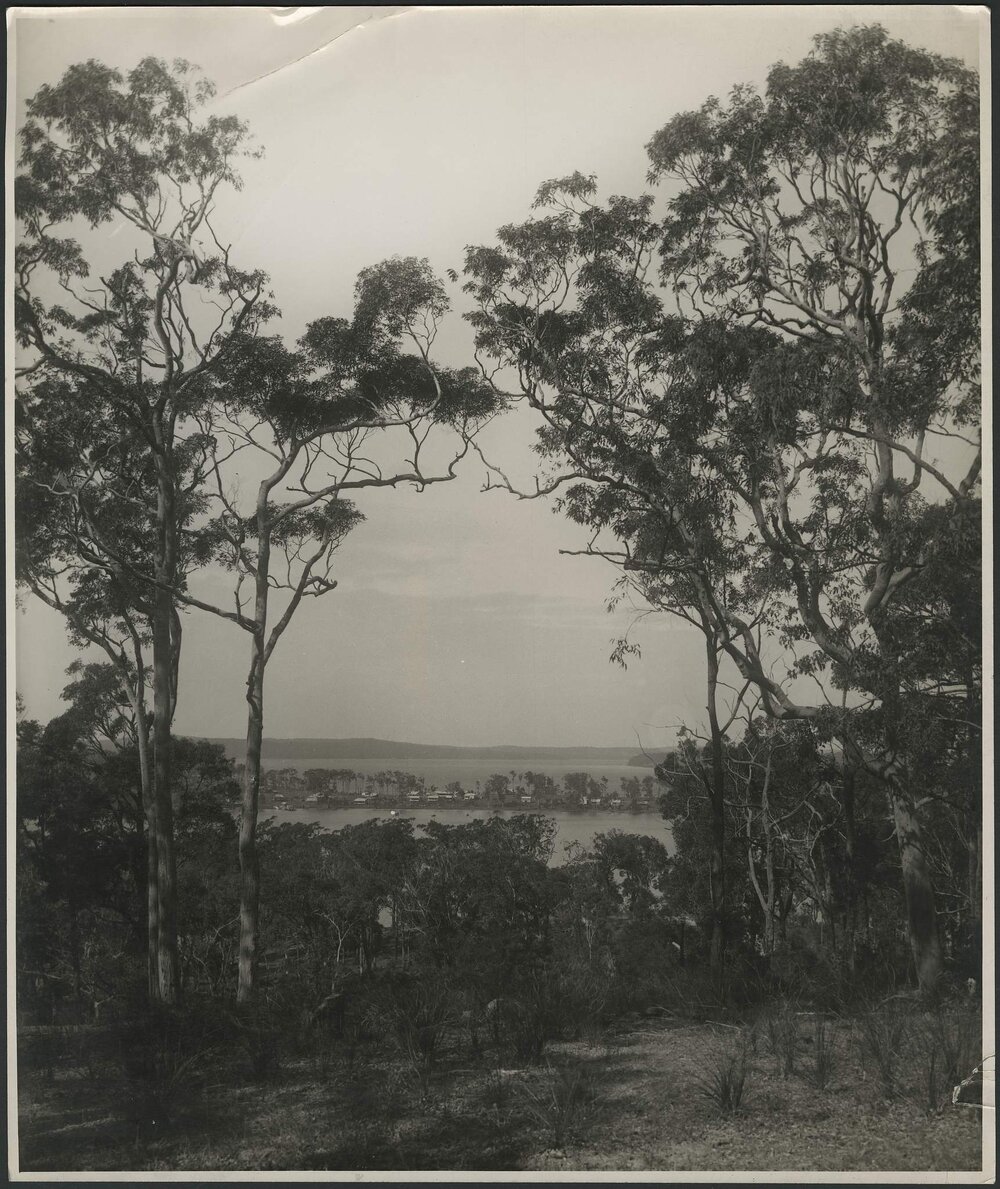 A peep from Arcadia showing Wangi Peninsula, Lake Macquarie New South Wales