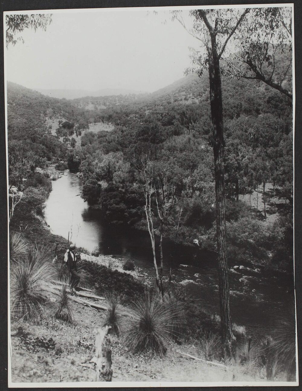 Trout Rapid, Tumut NSW