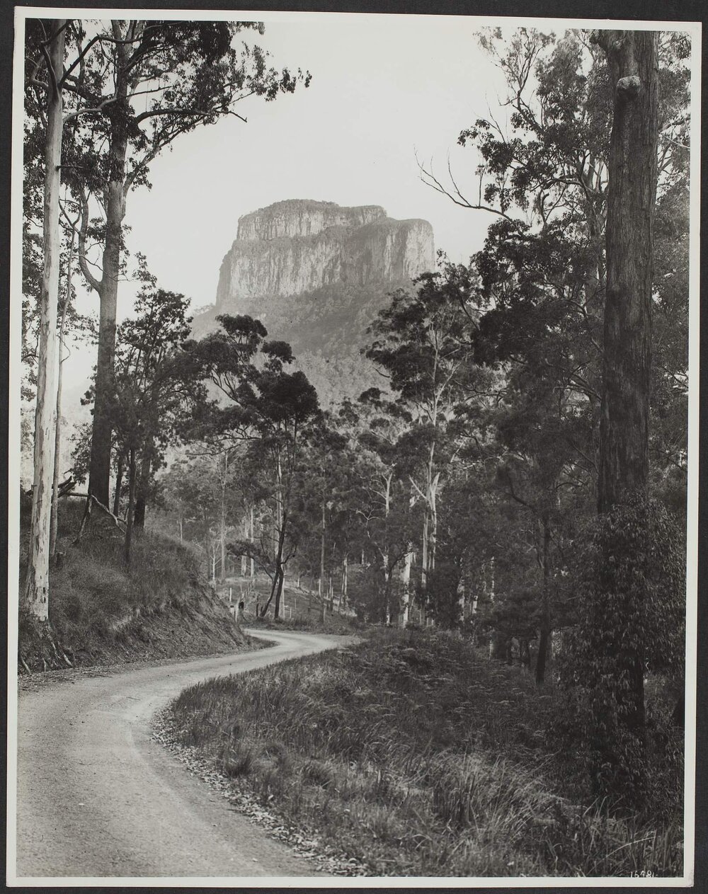 Mount Lindsay near Queensland Northern border, NSW