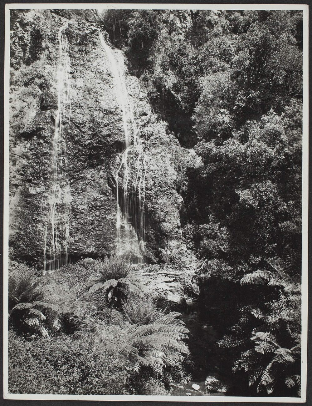 Belmore Falls, NSW