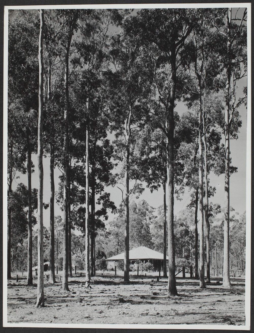 Forest Overseers Home Braimar, State Forest, NSW