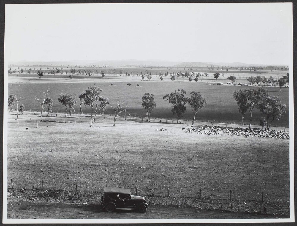 Mixed farming Wellington District NSW