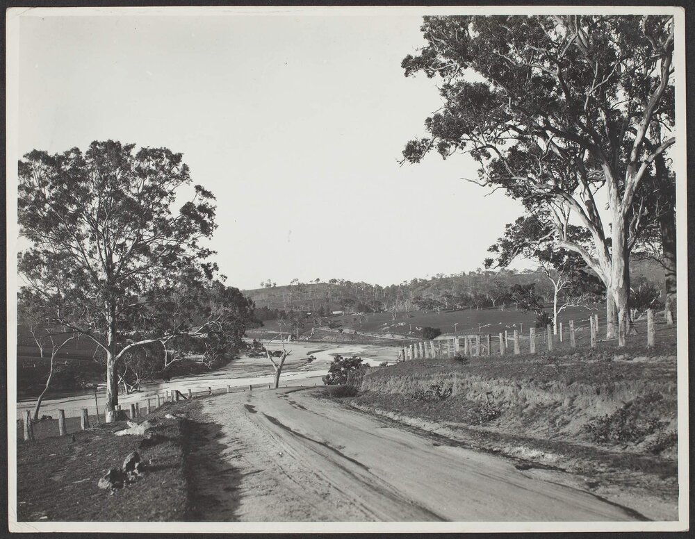 On the Candelo to Bega Road