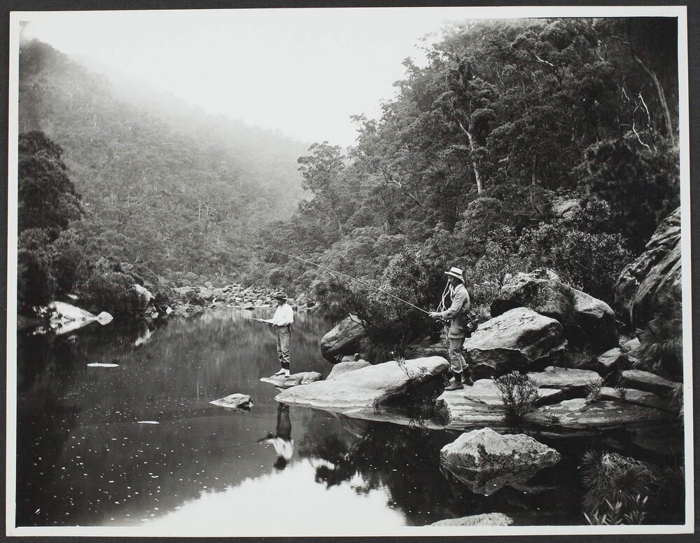 Perch fishing on the Grose Rim NSW.