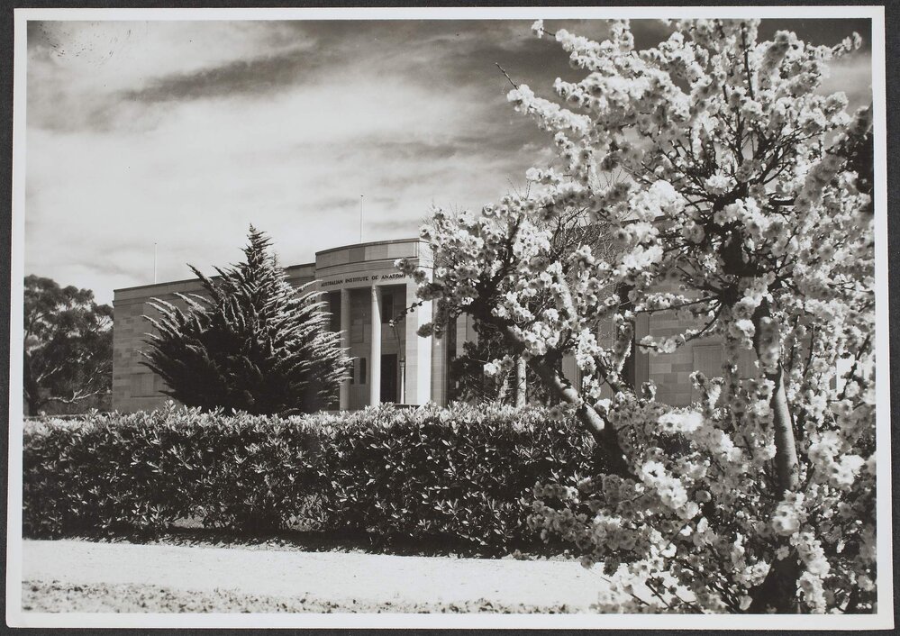 Australian institute of anatomy, Canberra, ACT