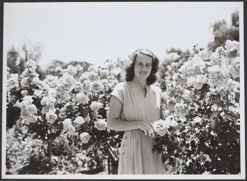Woman with roses, Canberra, ACT