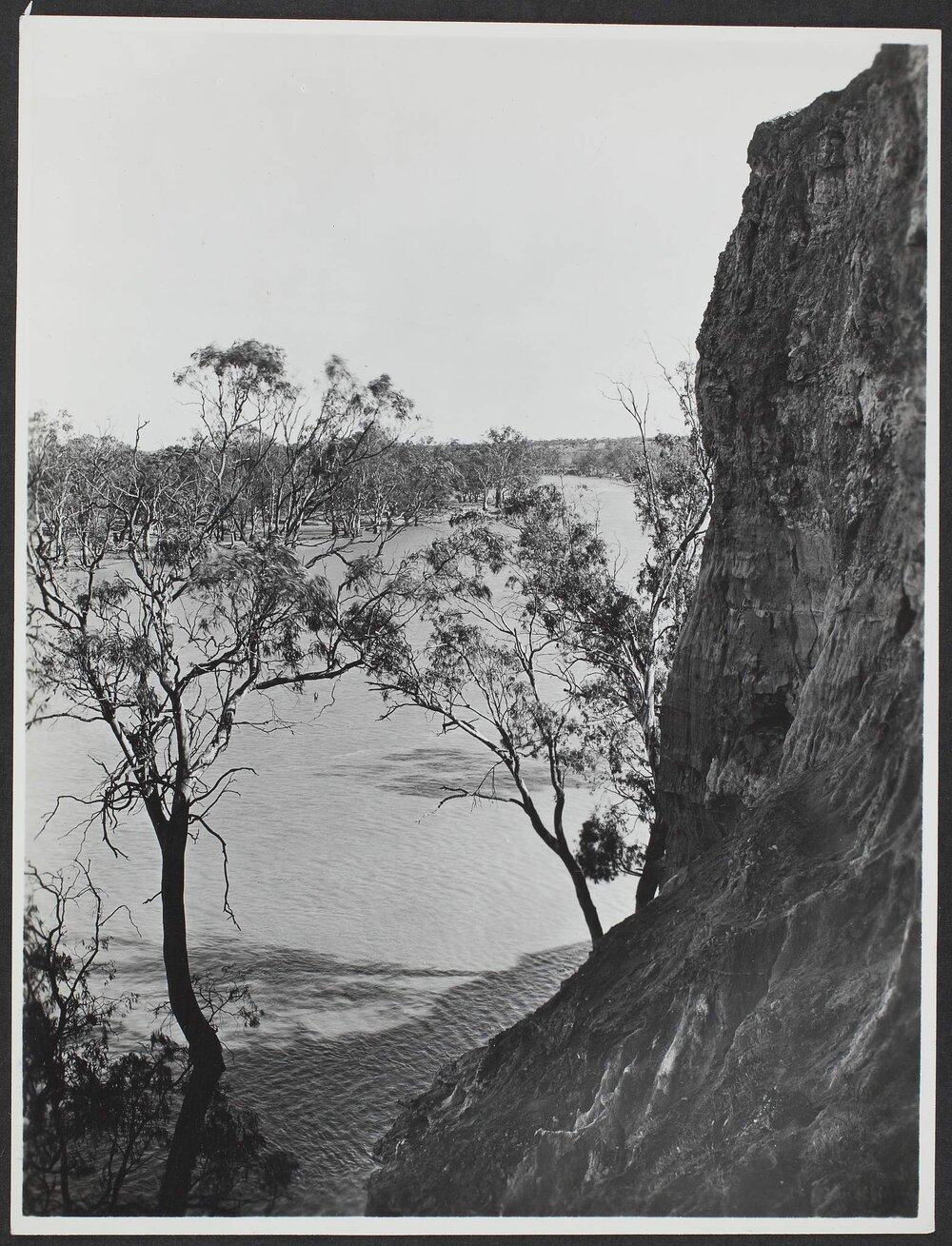 Murray River near Renmark