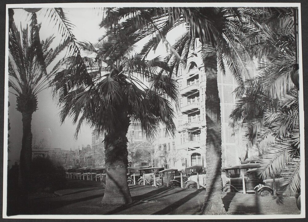 North Terrace, Adelaide, South Australia. (South Australian Government Photo)