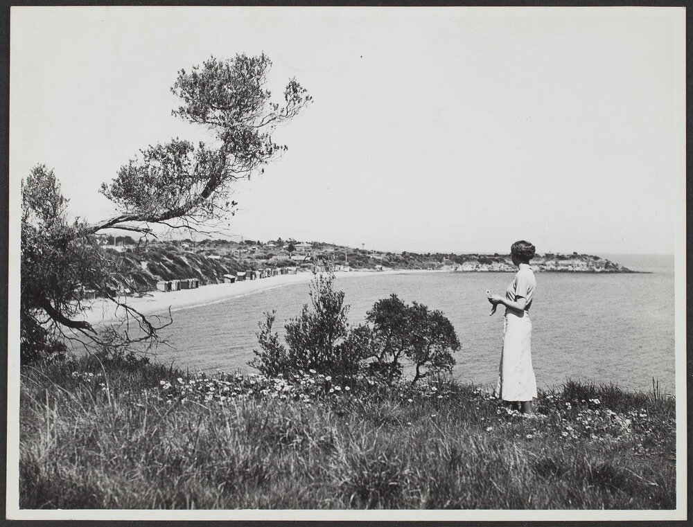 A waterfront view towards Mount Eliza Mornington.