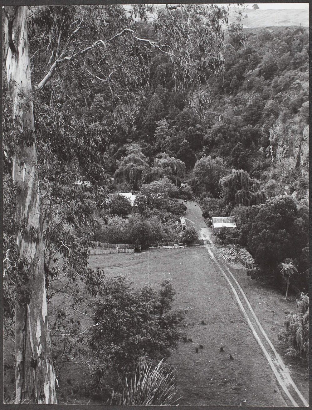 Aerial shot of Brookleigh Guest House, Tarra Valley.