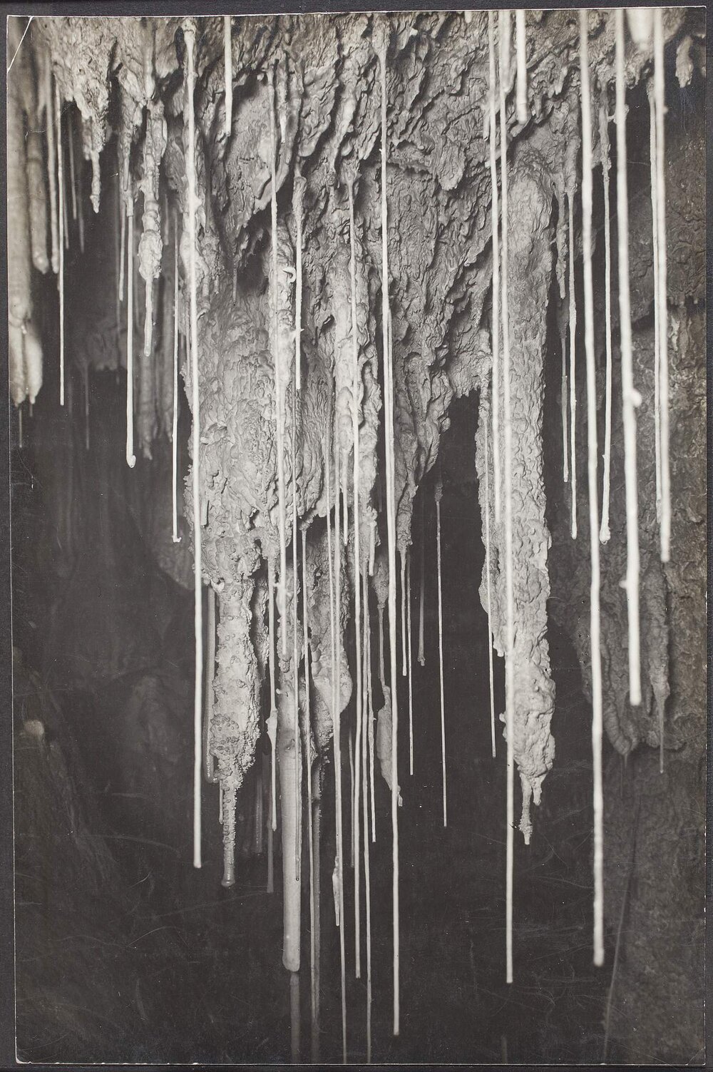 King George Cave, Hastings