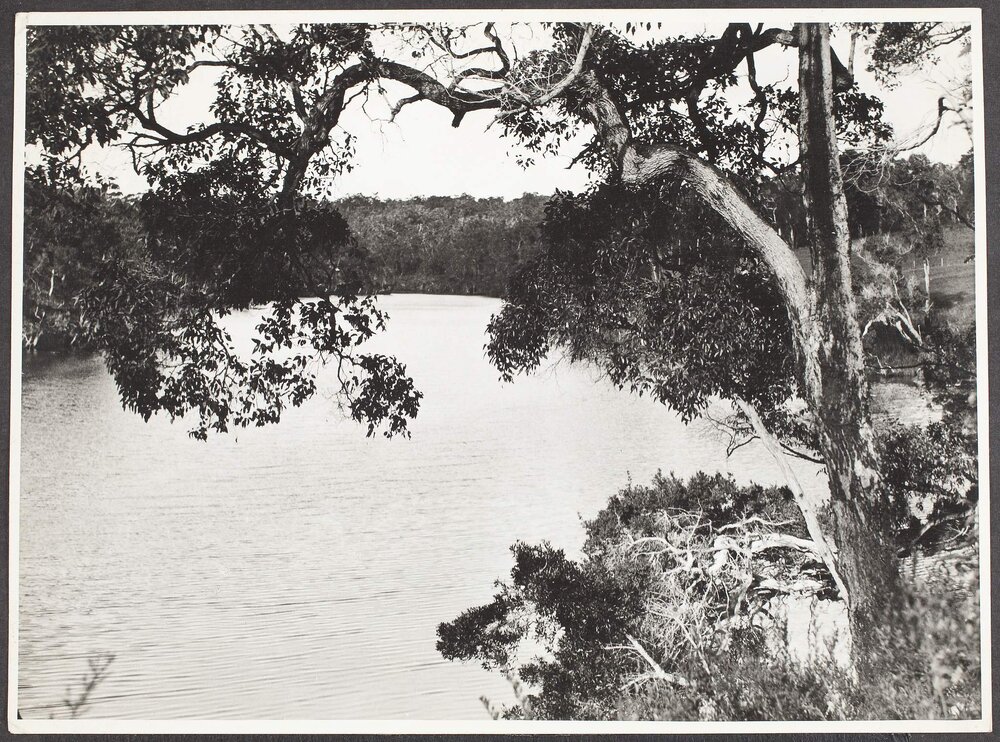 Kalgan River at Killarney, Albany