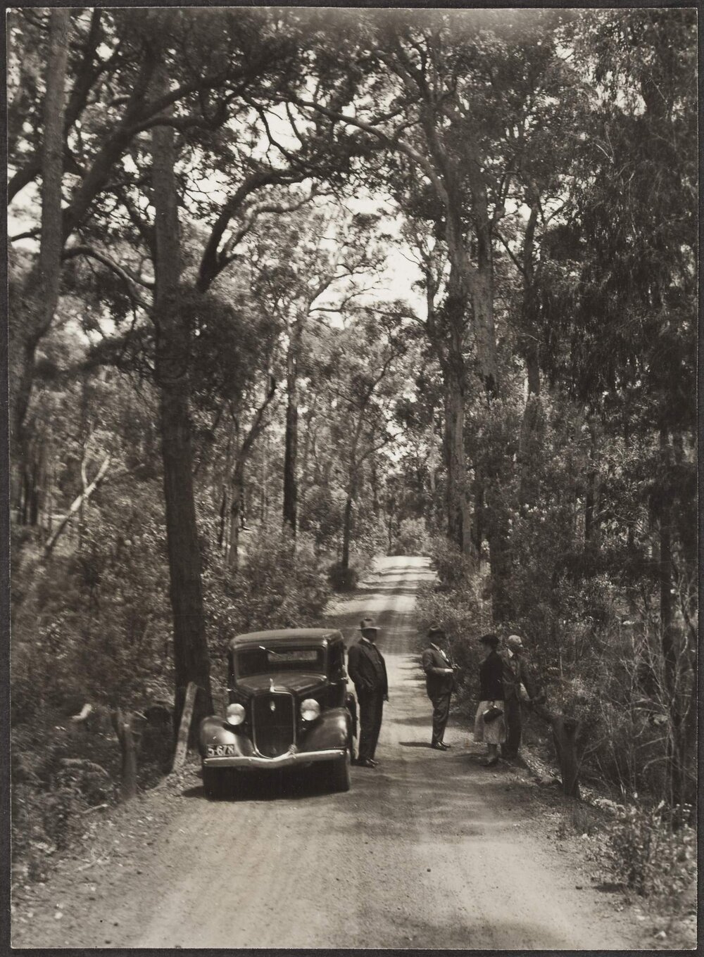 Road scene, Margaret River