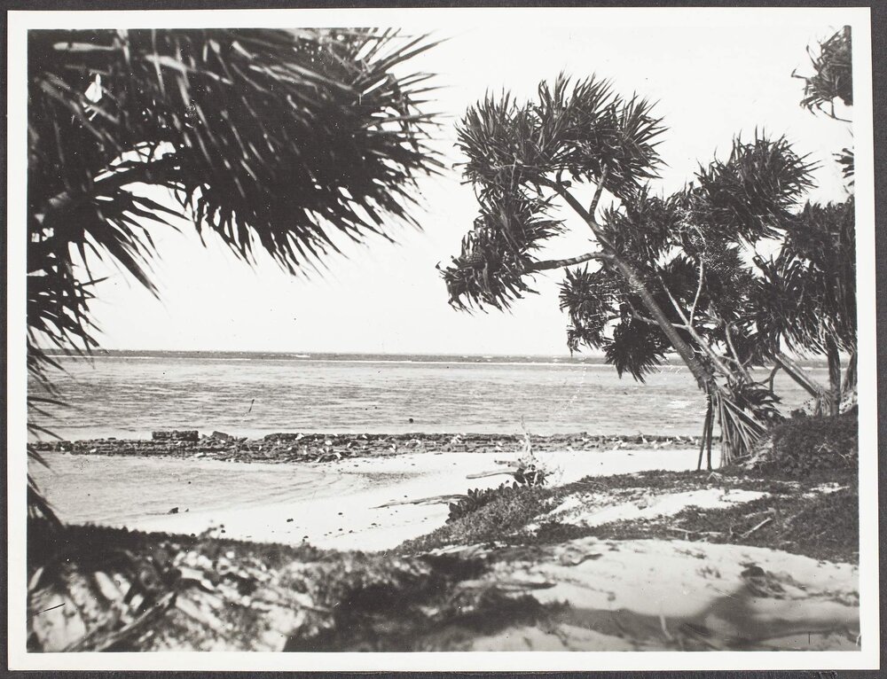 Heron Reef from Heron Island, Capricorn Group.