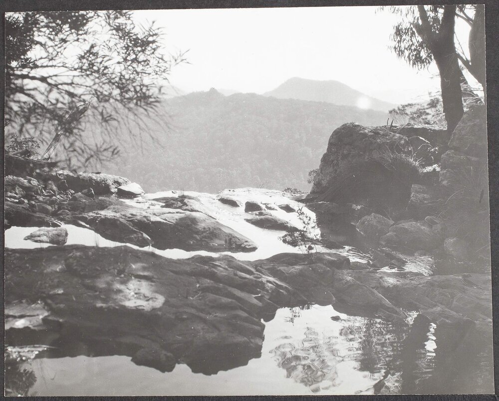 View from top of Blackfellow Falls, Springbrook