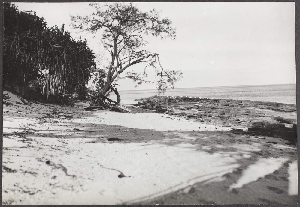 Heron Island, Great Barrier Reef, off Gladstone