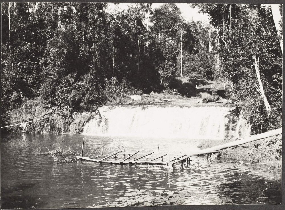Johnstone River Falls, North Queensland