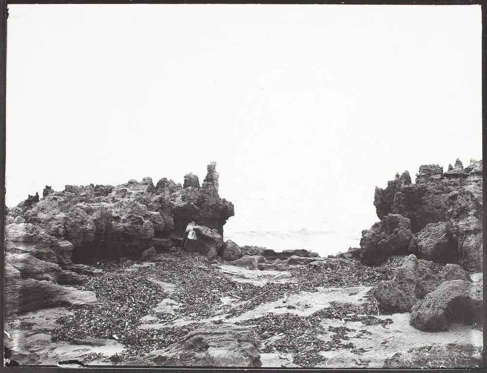 On Facing Island, Gladstone Harbour