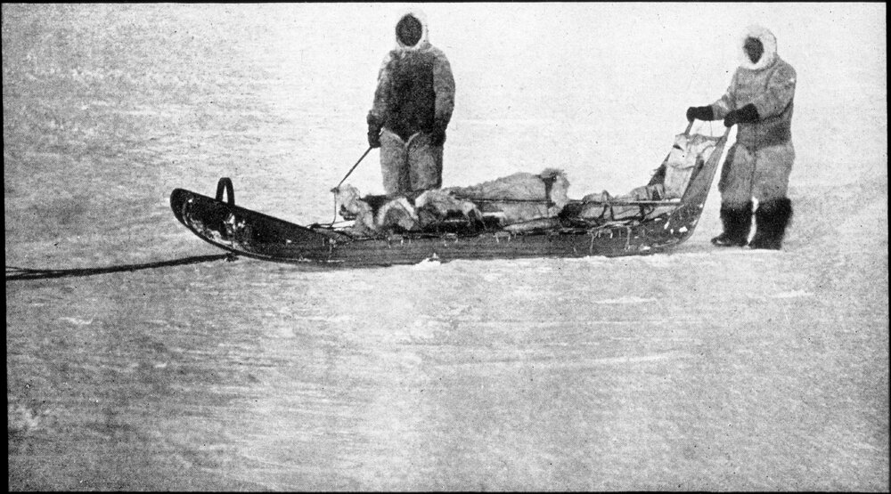 Reconnoitring party at the Pole