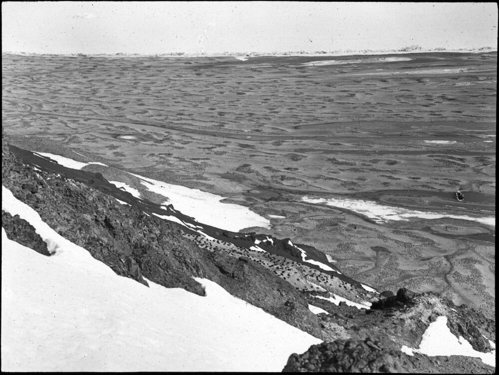 The Adelie Rookery at Cape Adare
