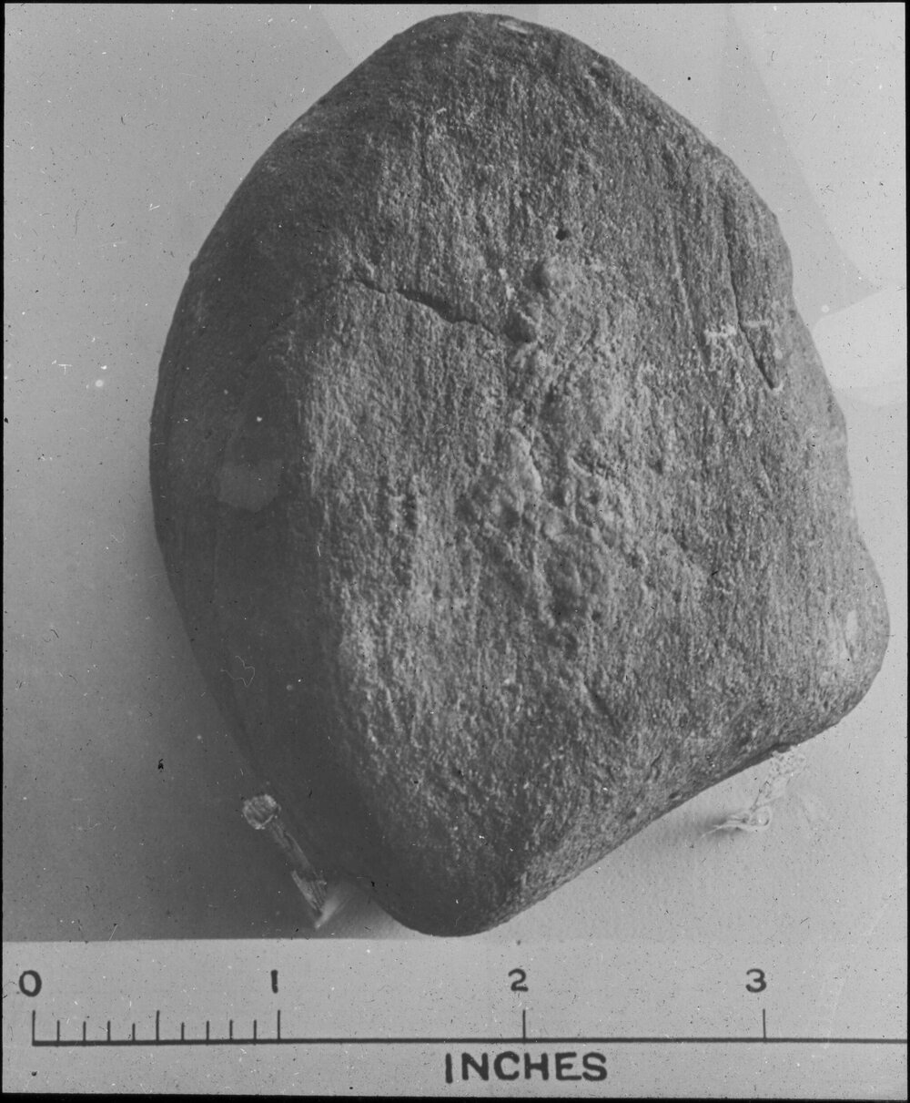 Unidentified geological specimen