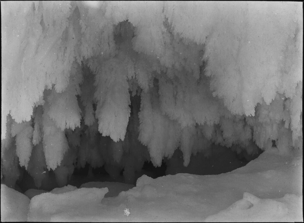 Frost crystals