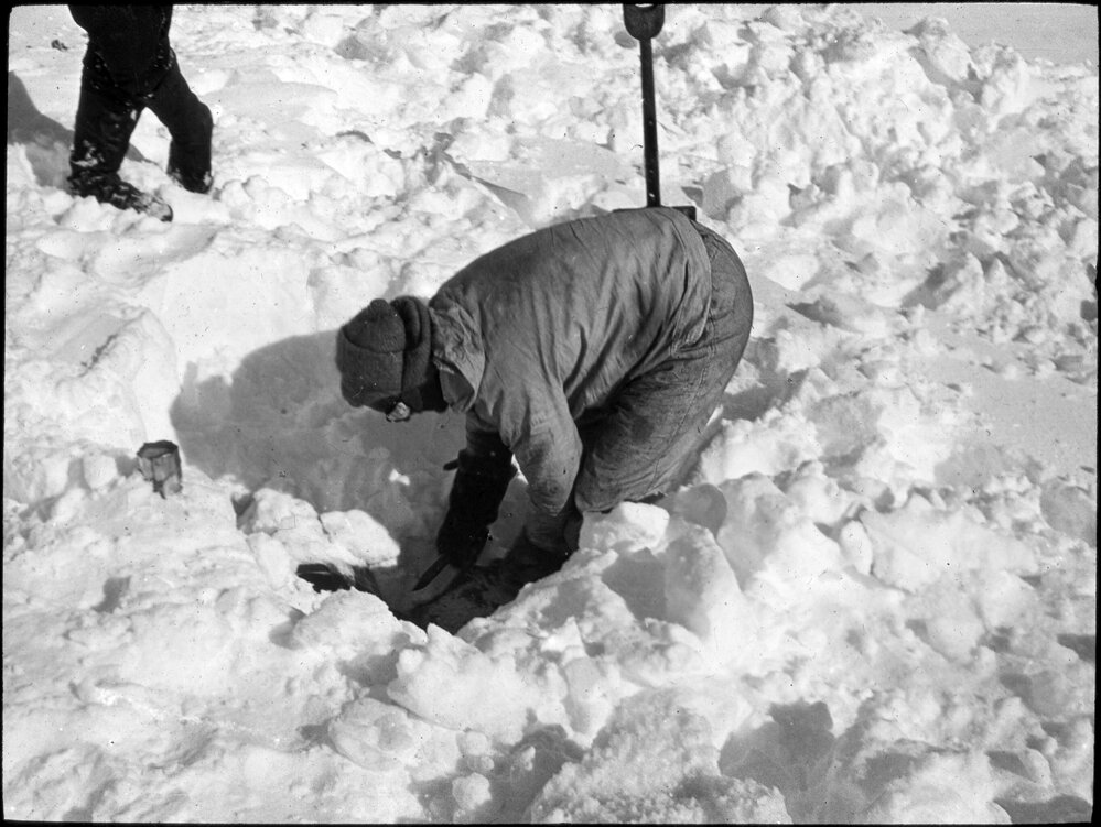 Cutting Courtauld out of the snow