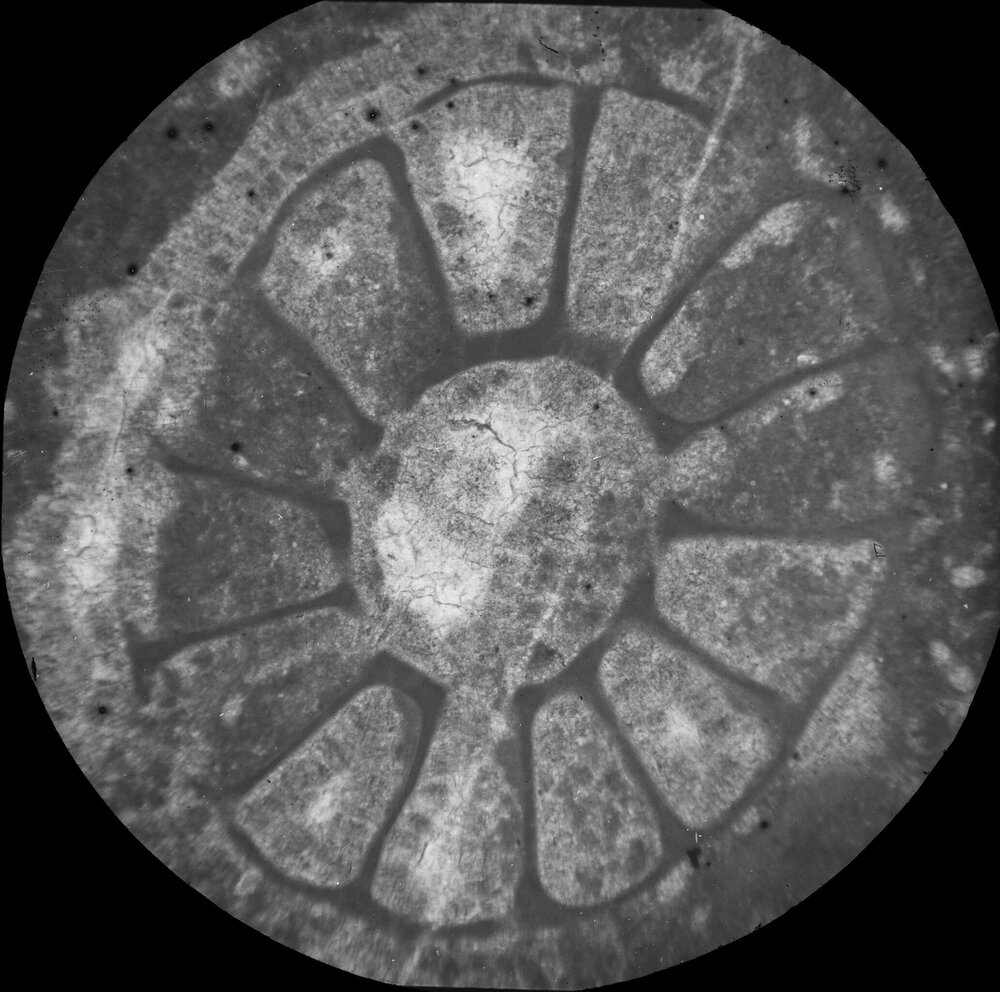 Unidentified geological specimen