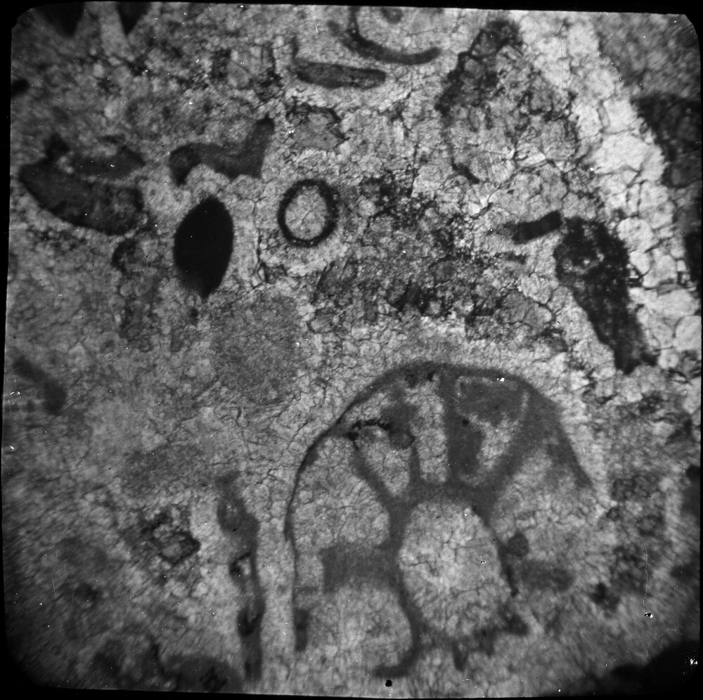 Unidentified geological specimen