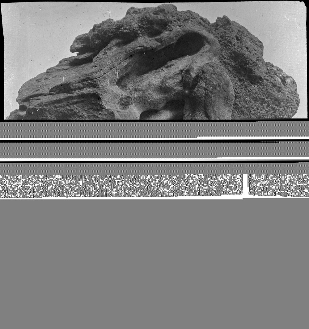 Unidentified geological specimen