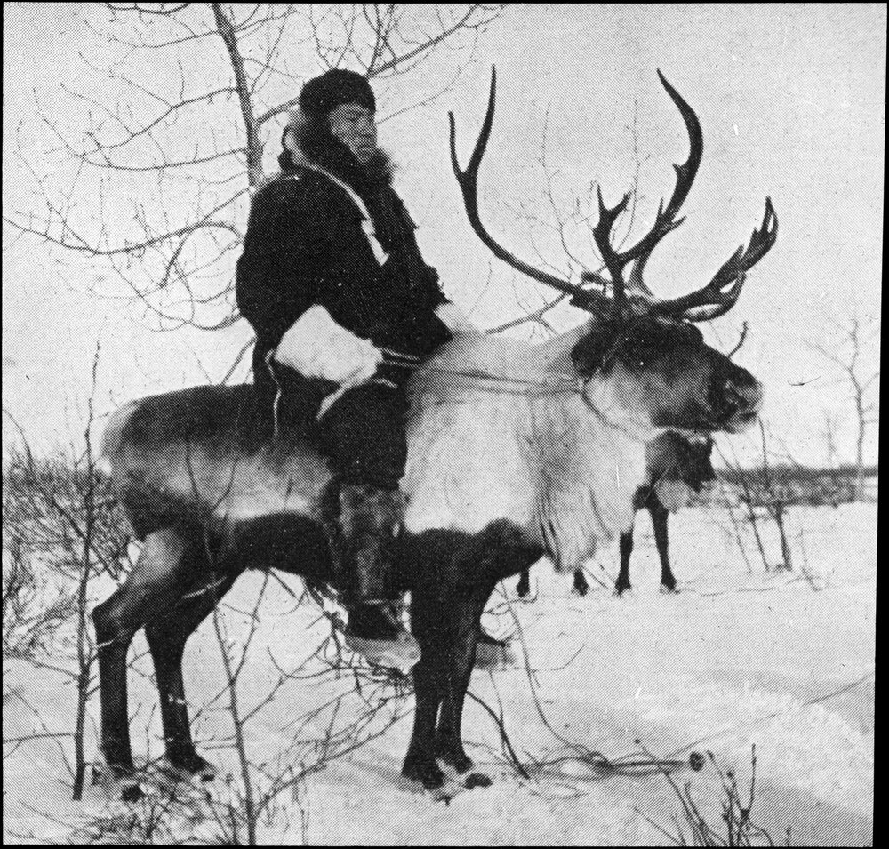 The northward course of empire