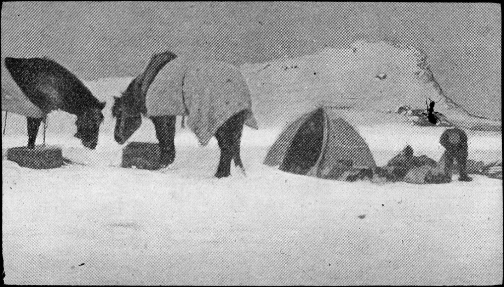 An expedition camp