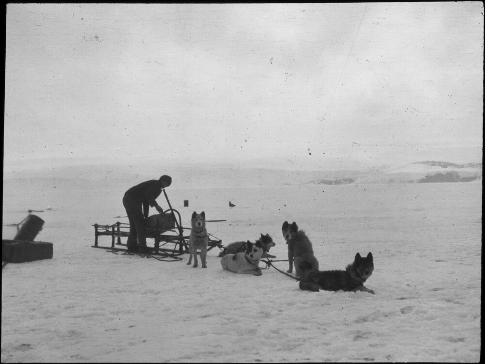 Unloading the sledge