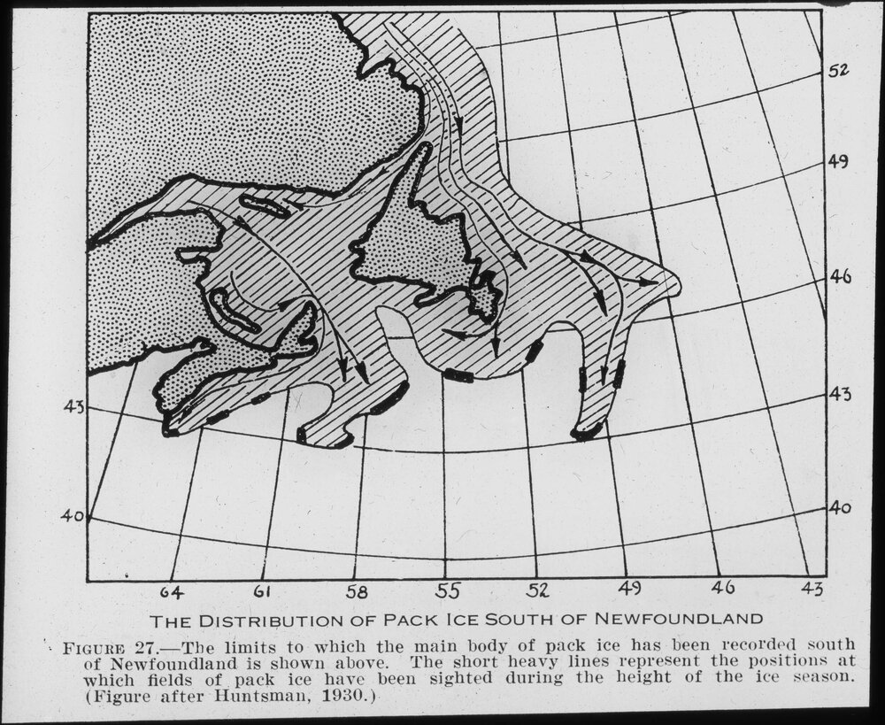 Distribution of pack ice