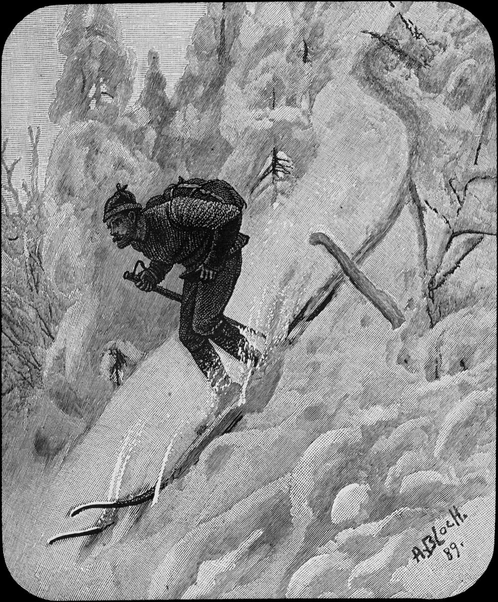 A steep descent in the forest